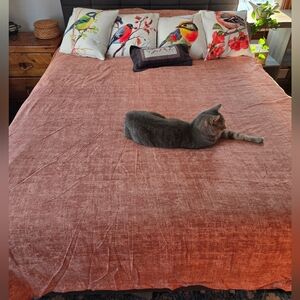 The Company Store Cotton Sateen Textured TerraCotta Queen Duvet/ Comforter Cover